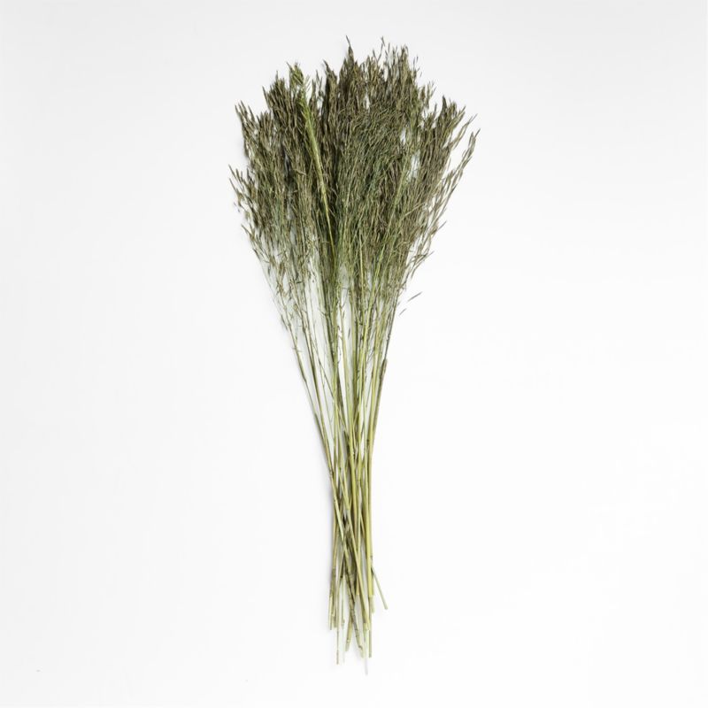 Sage Green Chorao Decorative Dried Grass Bunch | Crate & Barrel | Crate & Barrel