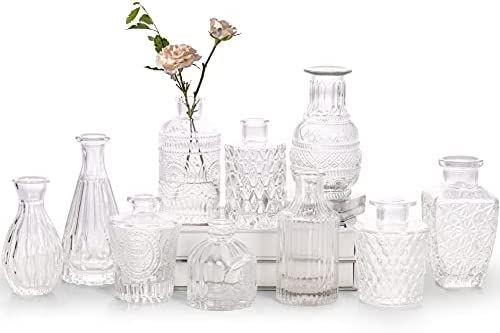 Glass Bud Vase Set of 10 - Small Vases for Flowers, Clear Bud Vases in Bulk, Cute Glass Vases for... | Amazon (US)
