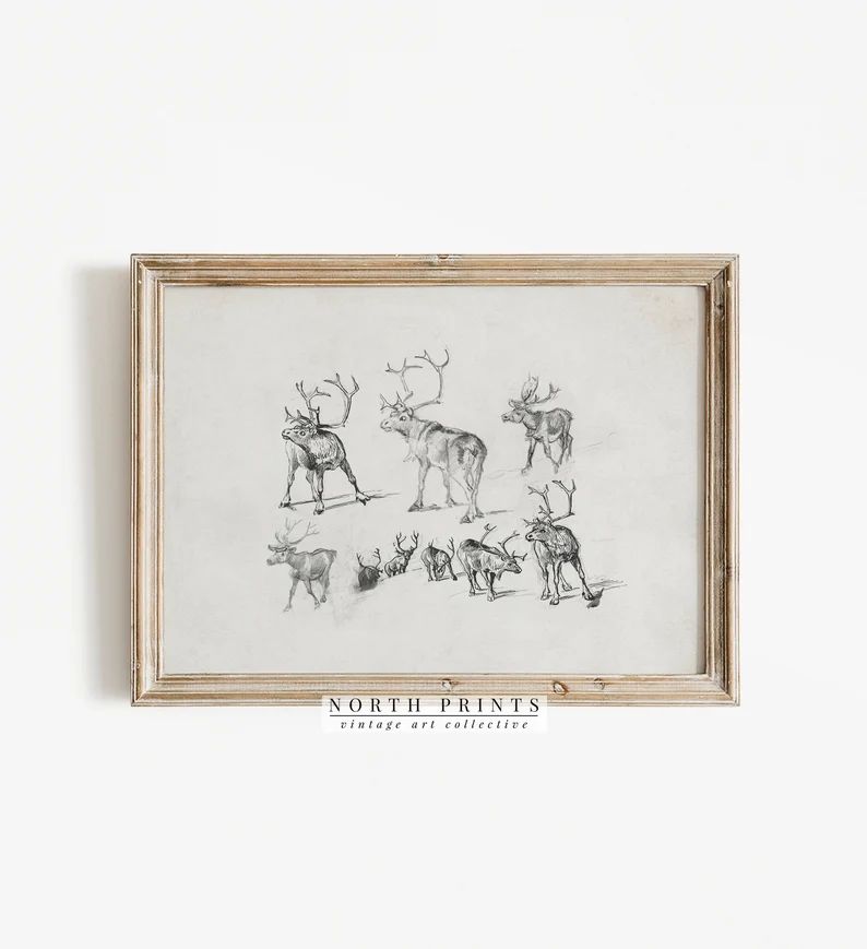 Vintage Christmas Reindeer Sketch Art | Winter Farmhouse Holiday Decor  | Digital PRINTABLE | 120... | Etsy (US)