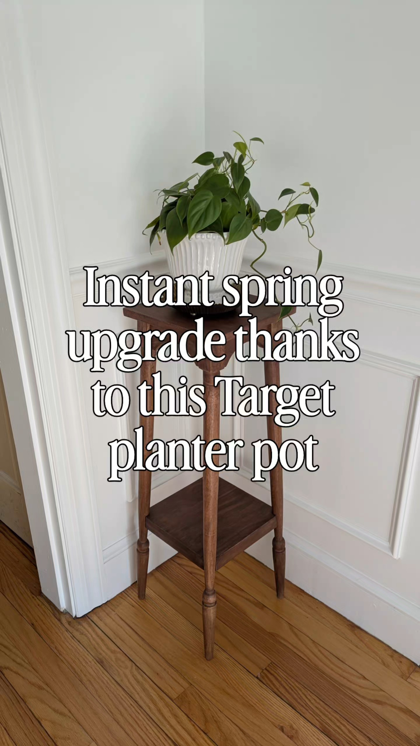 Sometimes it really is the little things. This Target planter instantly made my space feel lighter, fresher, and more pulled together for spring. I love finding decor that looks high-end but still works for real life (and a real budget).Such an easy swap, but it changed the whole vibe—and that’s my favorite kind of update.

#LTKHome #LTKFindsUnder50 #LTKSeasonal