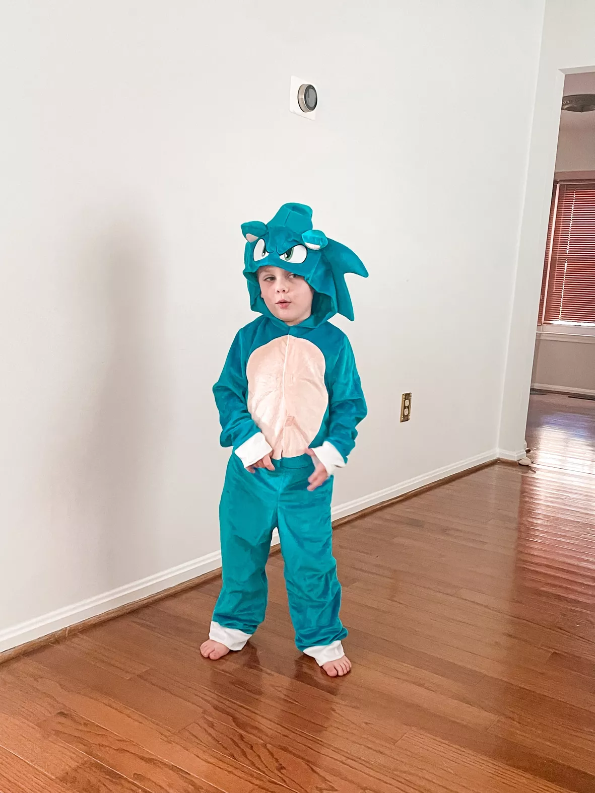 Sonic 2 Child Classic Costume