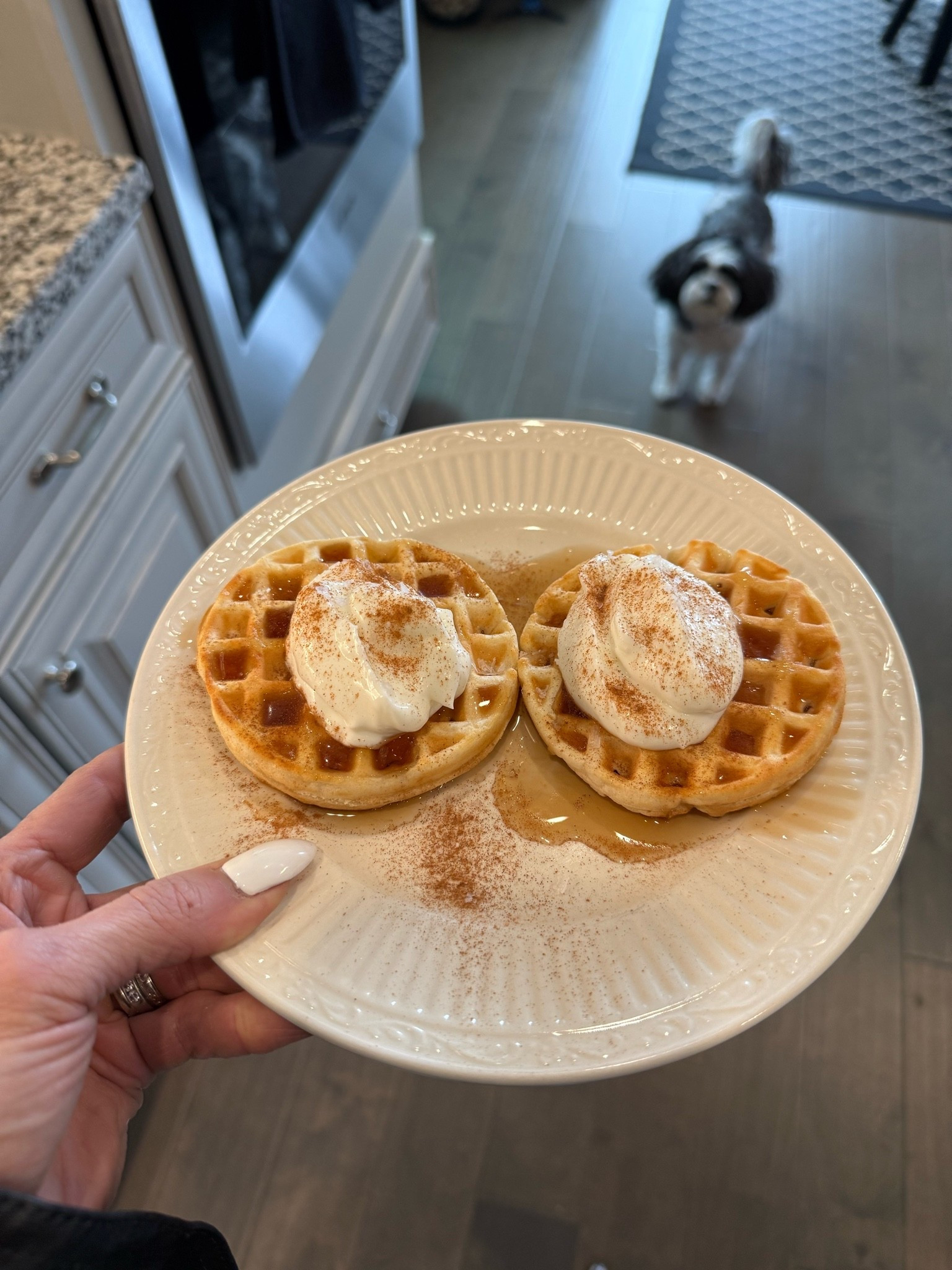 Waffle maker. Dash products. Easy, healthy snacks.

#LTKmorningroutine #LTKfoodie #LTKHome