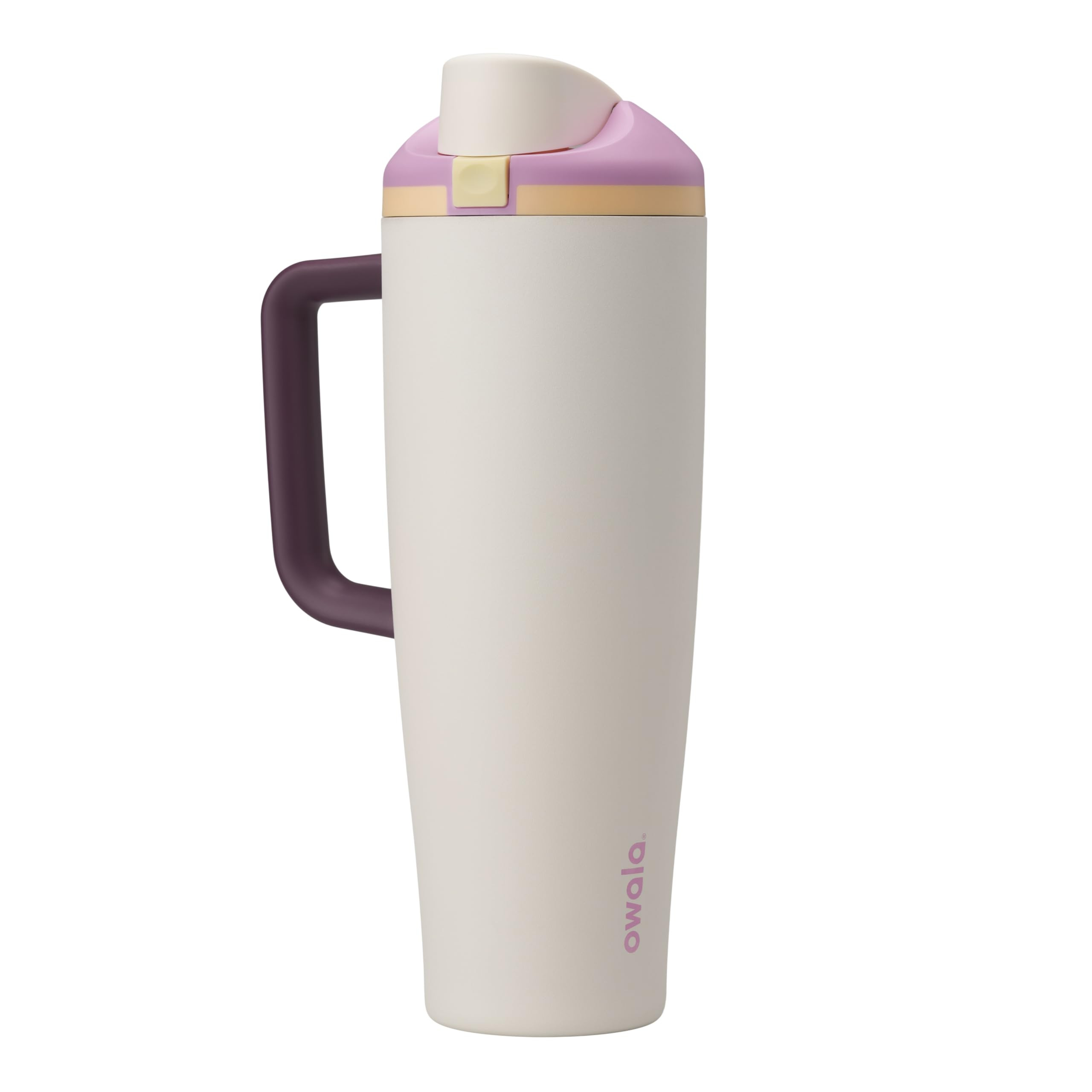 Owala FreeSip Tumbler Insulated Stainless Steel Water Bottle with Built-in Straw and Side Handle,... | Amazon (US)