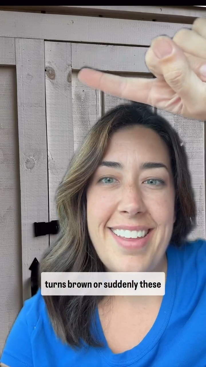Stains coming through your white paint? Don’t keep painting hoping the stains will go away! It’s tannins! If you’re painting wood, you need an oil-based primer to cover all those tannins in the wood. Something like BIN Shellac or CoverStain will cover those tannins once and for all. Then you can put a coat of regular latex paint over it. Save this reel to remember for your next project!