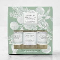Williams Sonoma Rosemary Eucalyptus Kitchen Essentials Kit | Williams-Sonoma