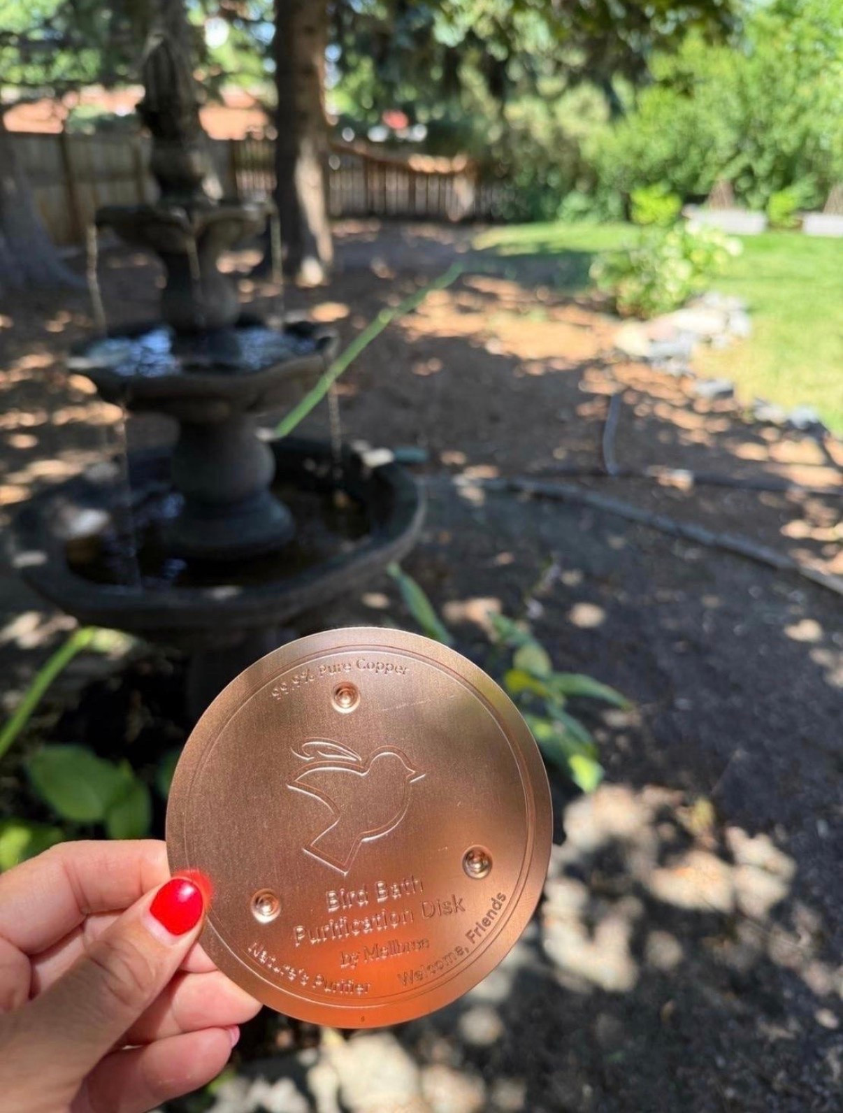 I never expected keeping a bird bath clean to take so much work 😂 These little copper disks seemed like such an easy solution, so I had to give them a try!!