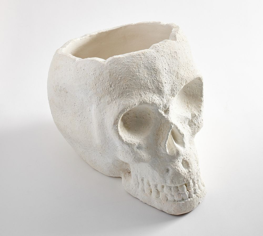 Figural Skull Terracotta Party Bucket | Pottery Barn (US)