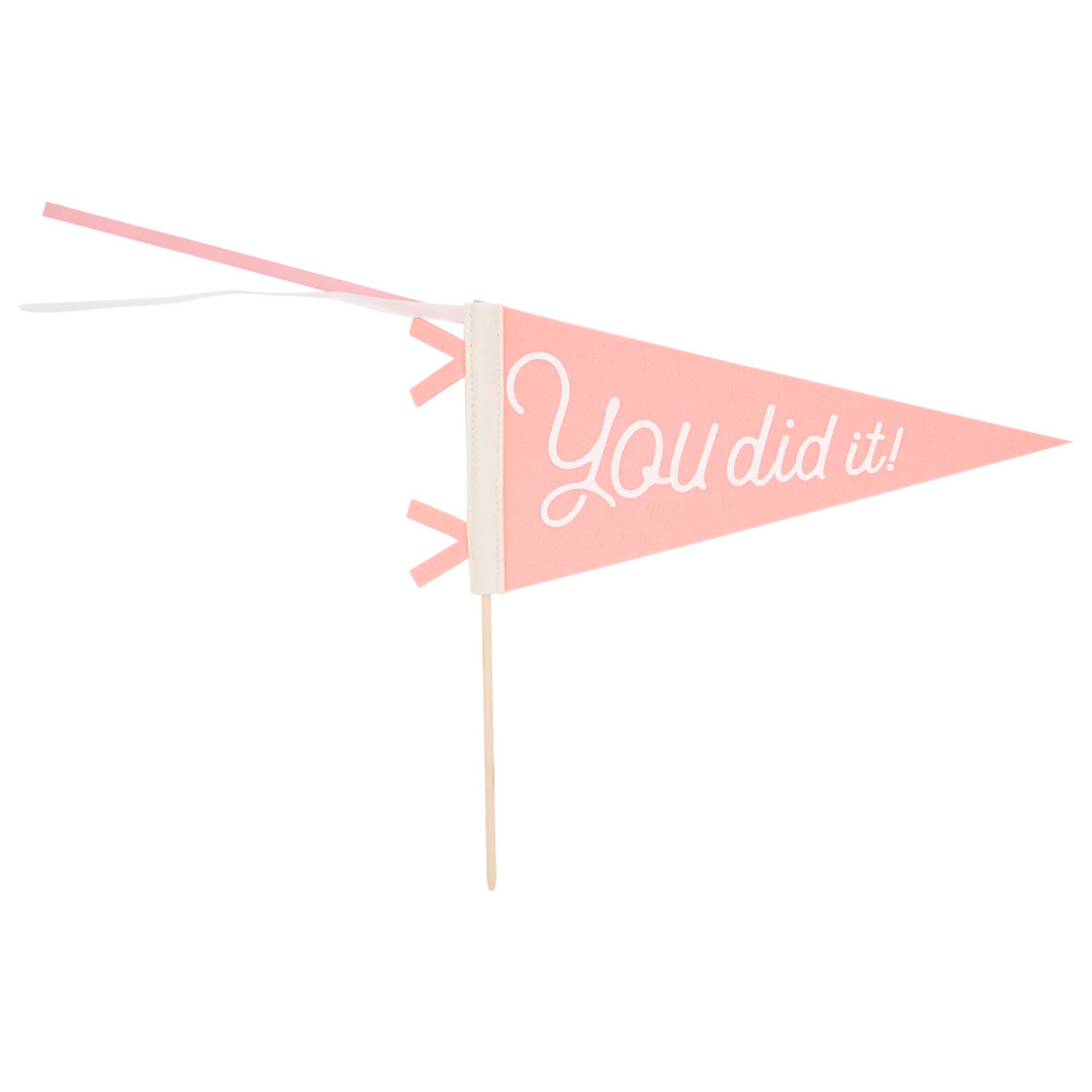 Pink You Did It Felt Pennant Banner | My Mind's Eye