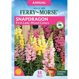 Snapdragon First Lady Mixed Colors Flower Seed | The Home Depot