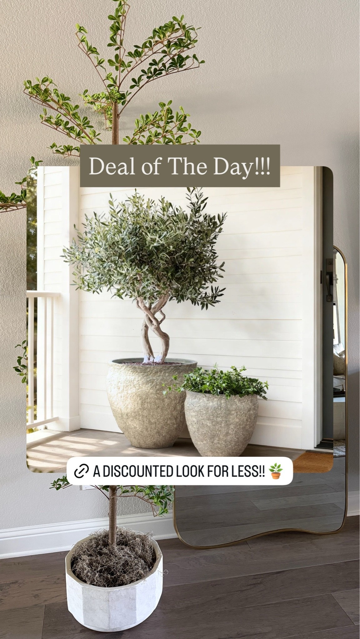 Modern organic planters on sale!! 😍

#LTKHome #LTKSaleAlert