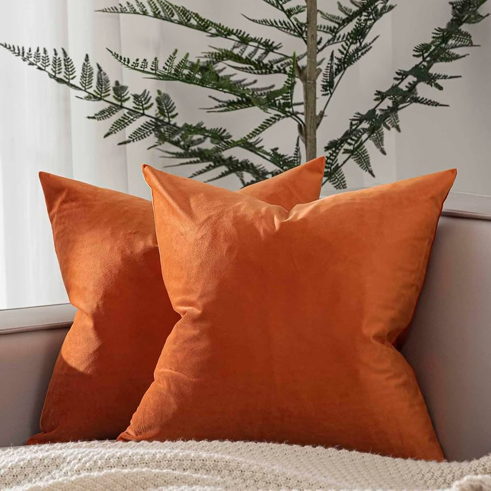 JUSPURBET Velvet Pillow Covers 20x20 inch Set of 2 Decorative Throw Pillow Covers for Couch Sofa ... | Amazon (US)