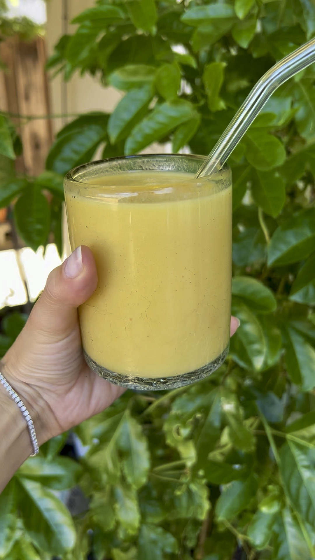 🍑🥭Peach, Mango, Banana protein smoothie 🍌🌴 made in a vitamix, our favorite blender! Served in recycled glasses with glass straws. The perfect way to stay cool & hydrated in warm weather. 

#LTKSeasonal #LTKHome #LTKFamily