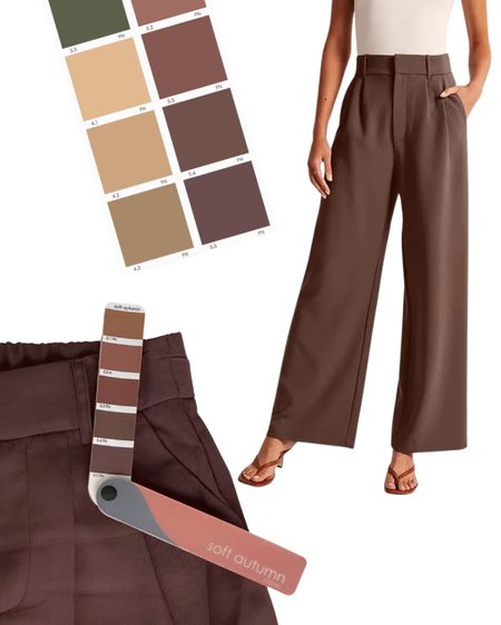 Amazon Wide-Leg Trousers

Perfect match (verified in person) for 5.5 FN on the TCI #softautumn color fan!

#LTKfindsunder50 #LTKover40 #LTKstyletip