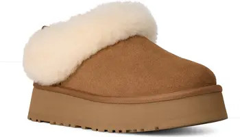 Tazzelle Genuine Shearling Collar Slipper (Women) | Nordstrom