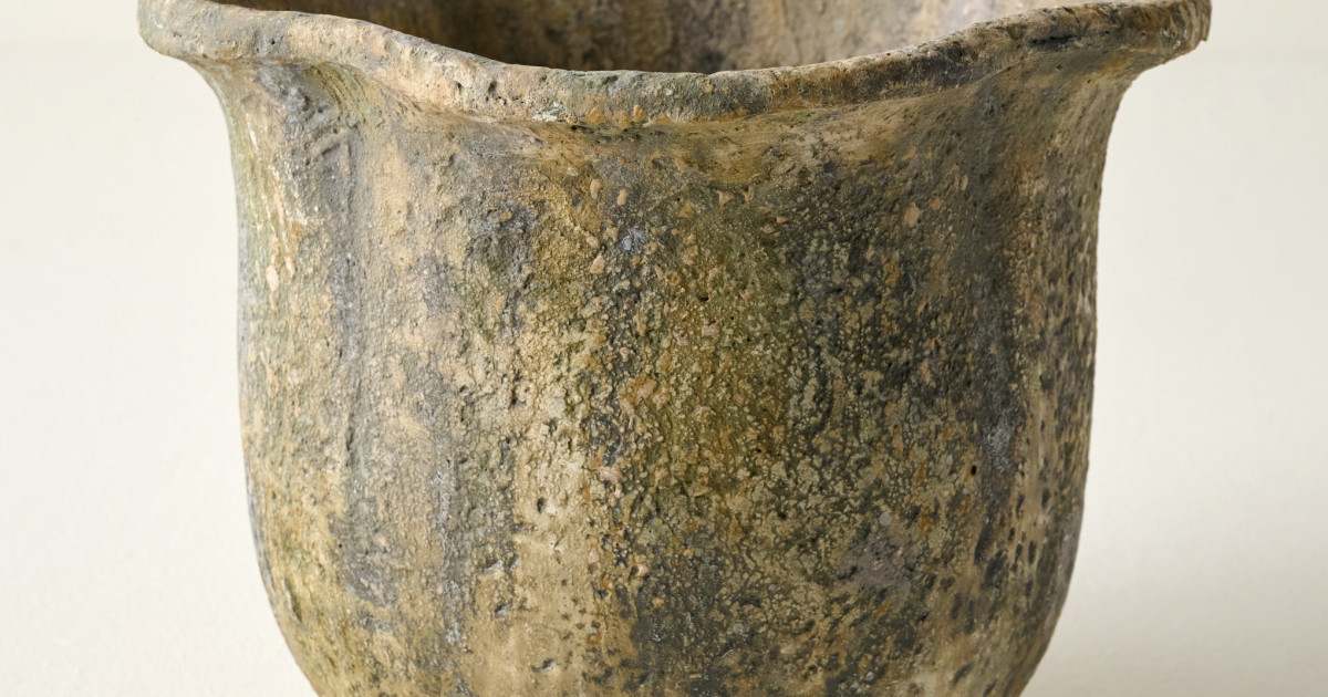 Scalloped Rim Planter | Magnolia