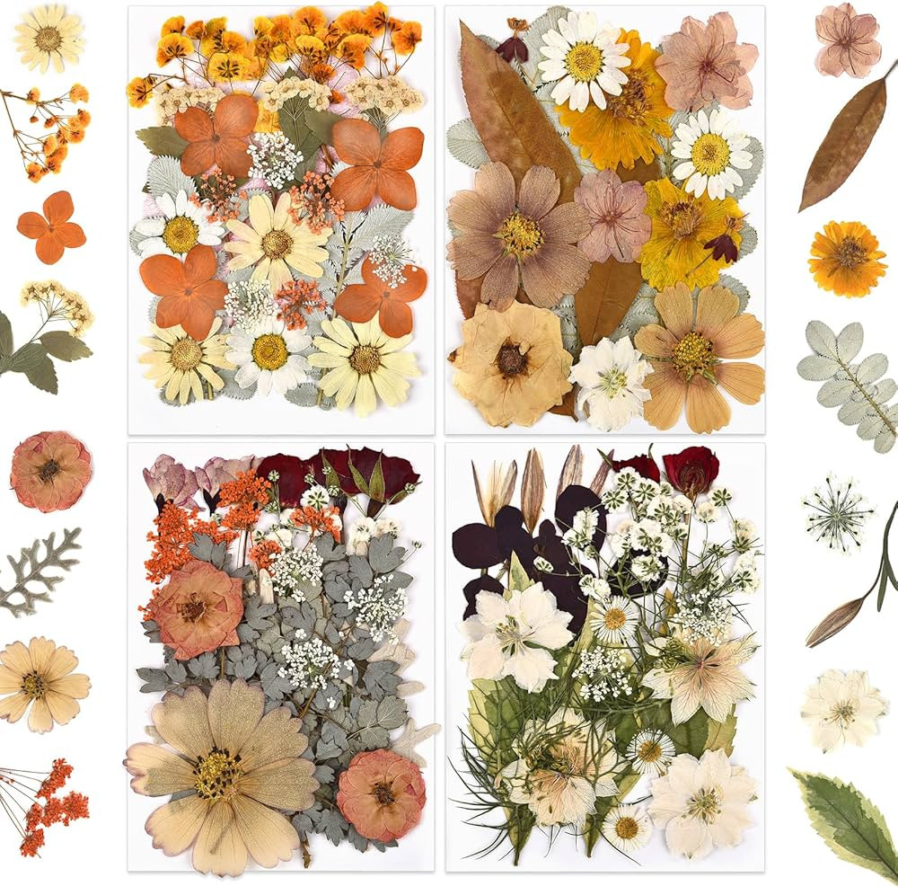 DALARAN 95Pcs Fall Dried Pressed Flowers for Resin Molds Real Pressed Flowers Dry Leaves Kit for ... | Amazon (US)