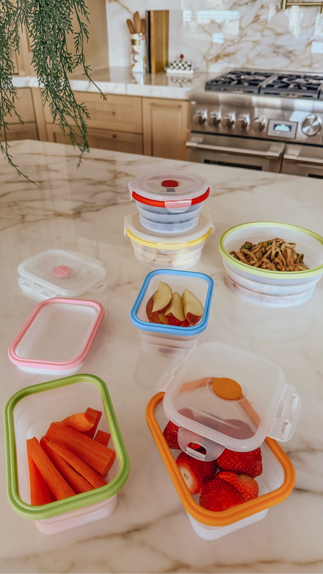 Space saving stackable food storage for leftovers

#LTKHome #LTKfoodie