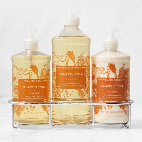 Williams Sonoma Pumpkin Spice Hand Soap & Lotion 4-Piece Kitchen Set, Classic, Stainless-Steel | Williams-Sonoma