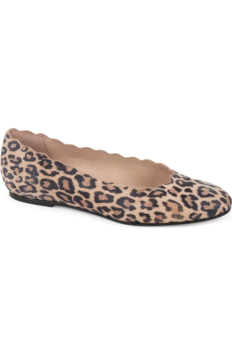 patricia green Palm Beach Scalloped Ballet Flat (Women) | Nordstrom | Nordstrom
