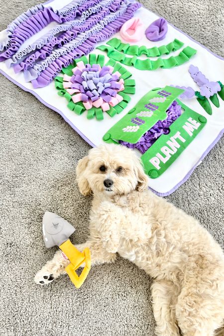 Injoya dog snuffle mats and puzzles are a great enrichment idea to keep your pups busy and out of trouble 💕

#ltkdog #dogtoy 

#LTKfamily