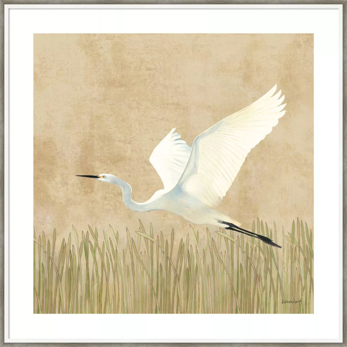 33" x 33" Egret Alighting II by Kathrine Lovell Wood Framed Wall Art Print - Amanti Art | Target