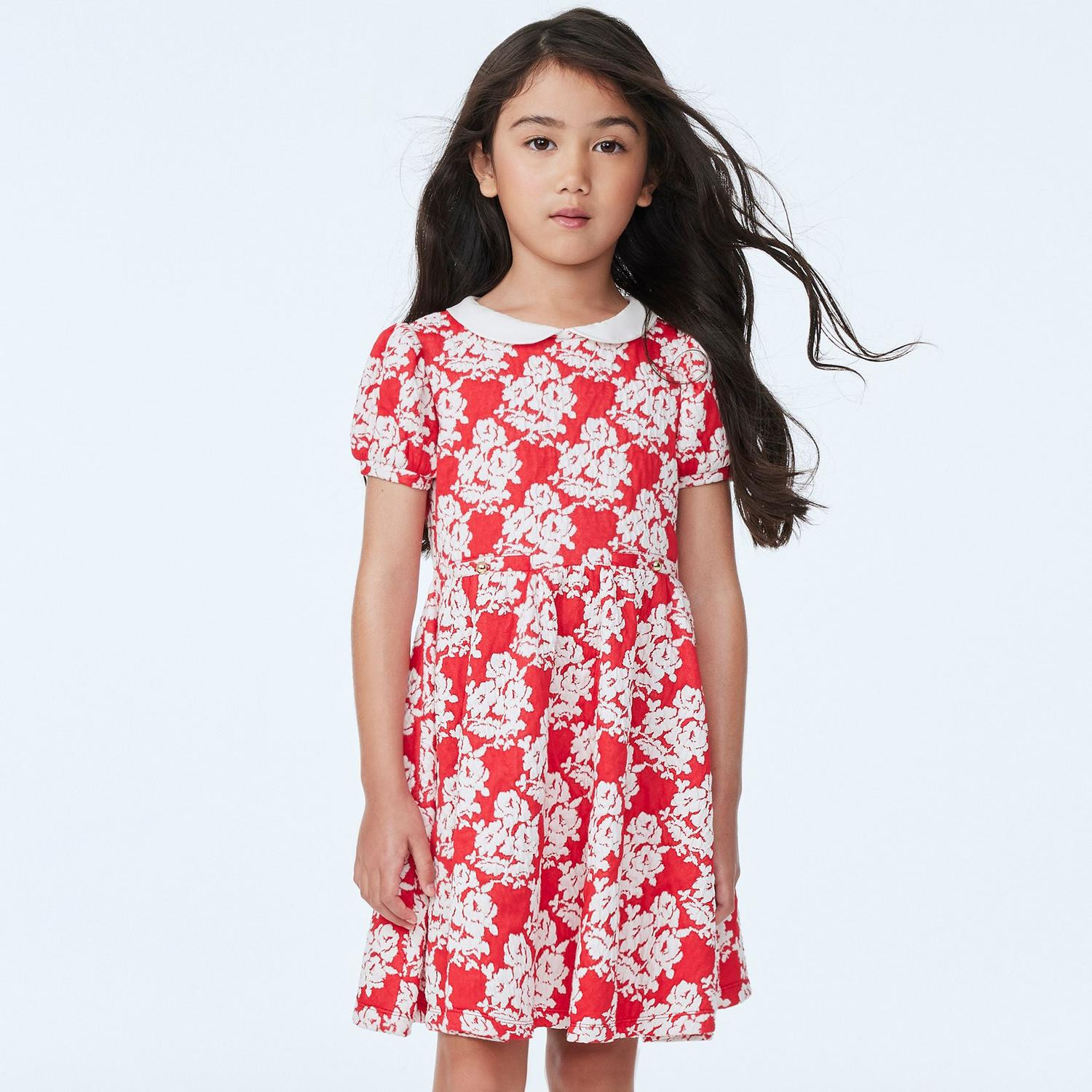 Rose Jacquard Collar Dress | Janie and Jack