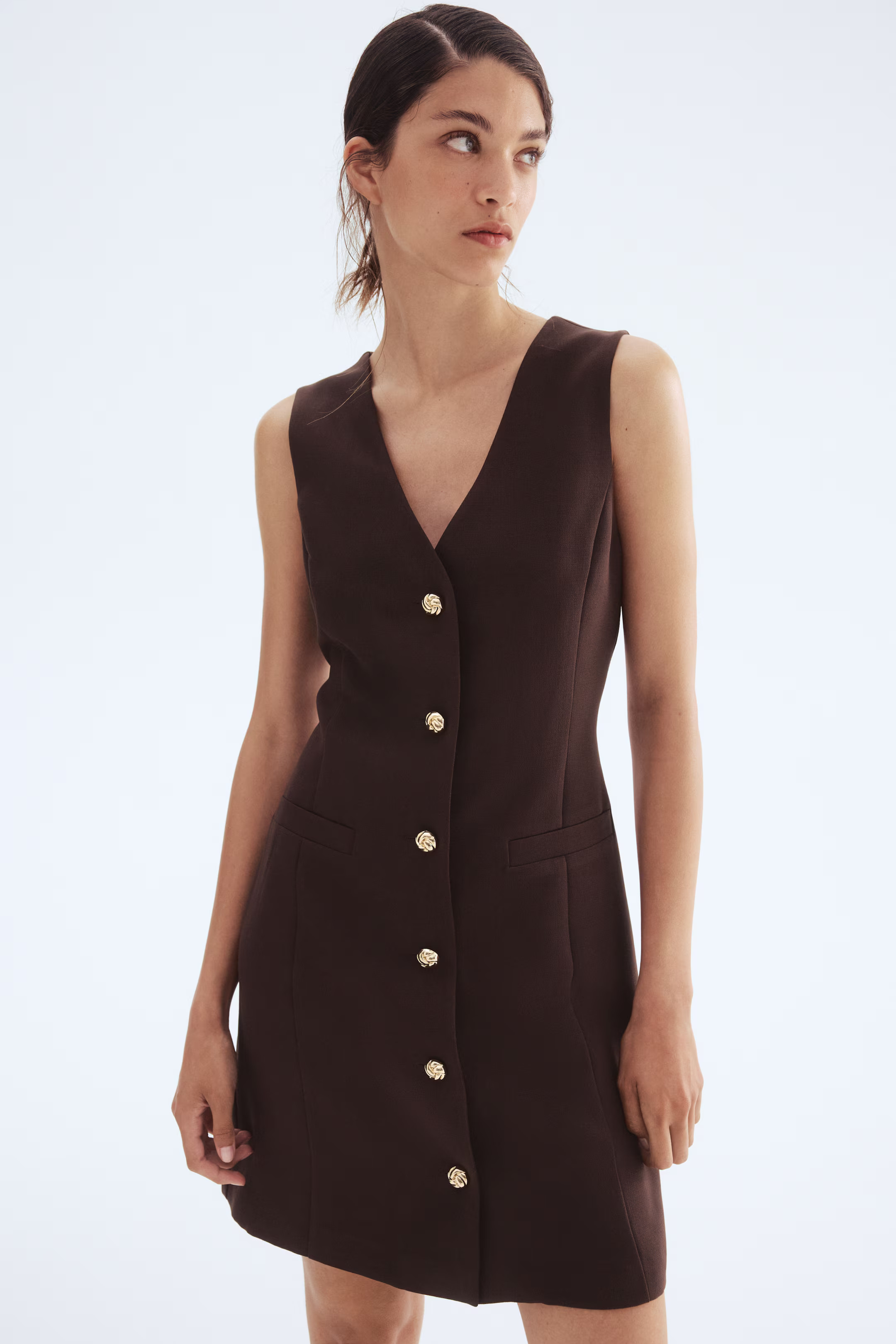 Button-Front Dress - Dark brown - Ladies | H&M US | H&M (US + CA)