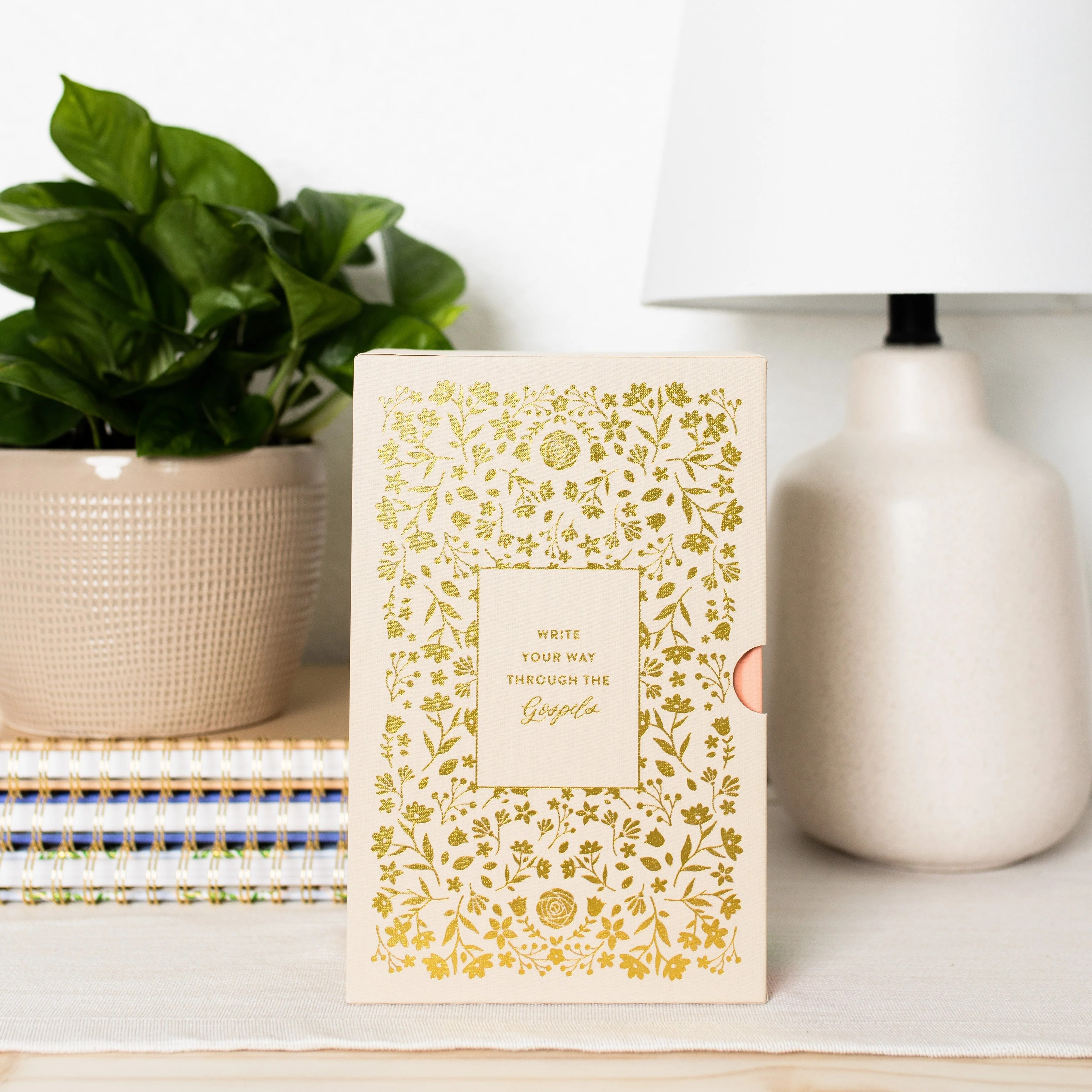 Write the Word | The Gospels Boxed Collection | The Daily Grace Co.