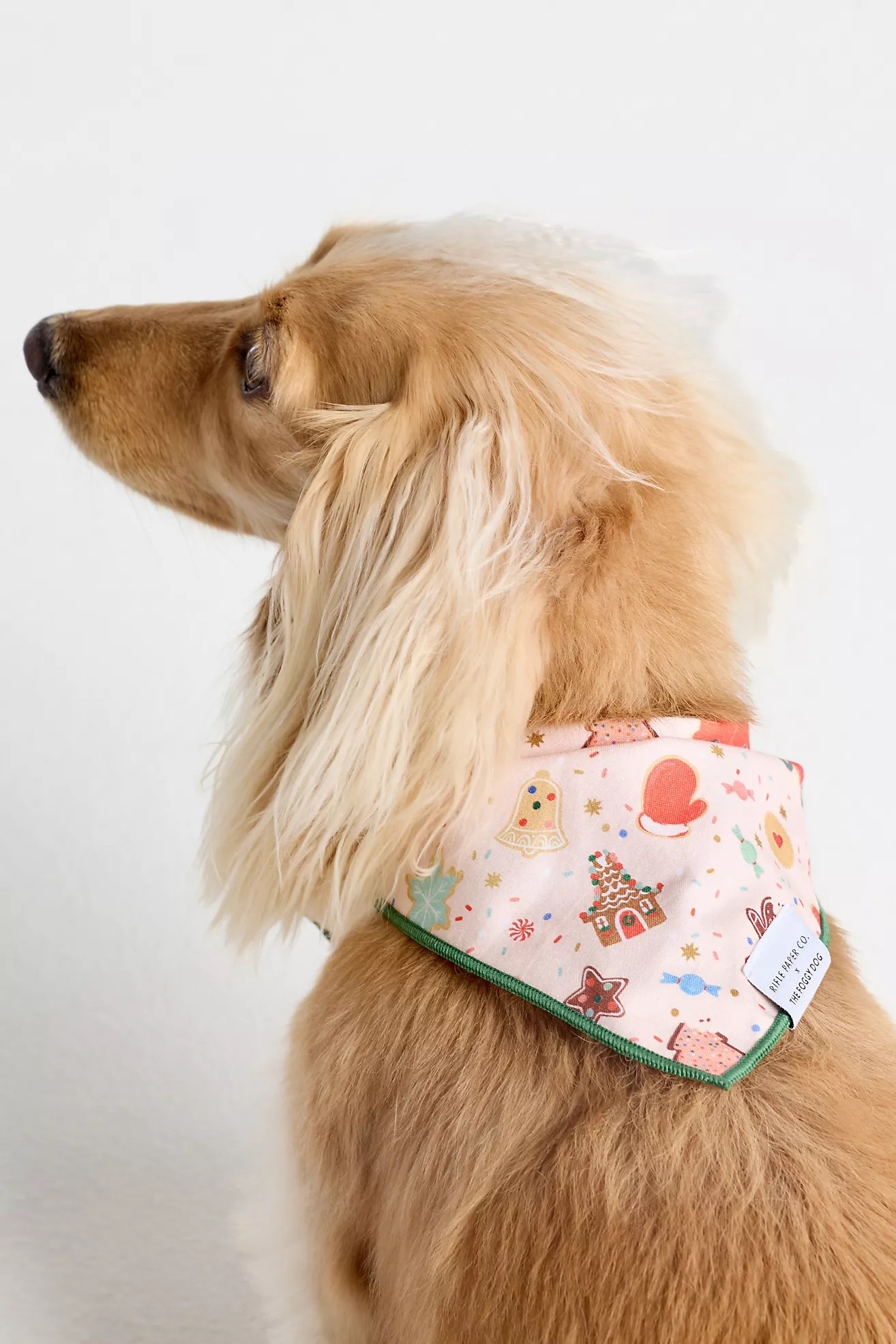 The Foggy Dog Pet Bandana | Anthropologie (US)