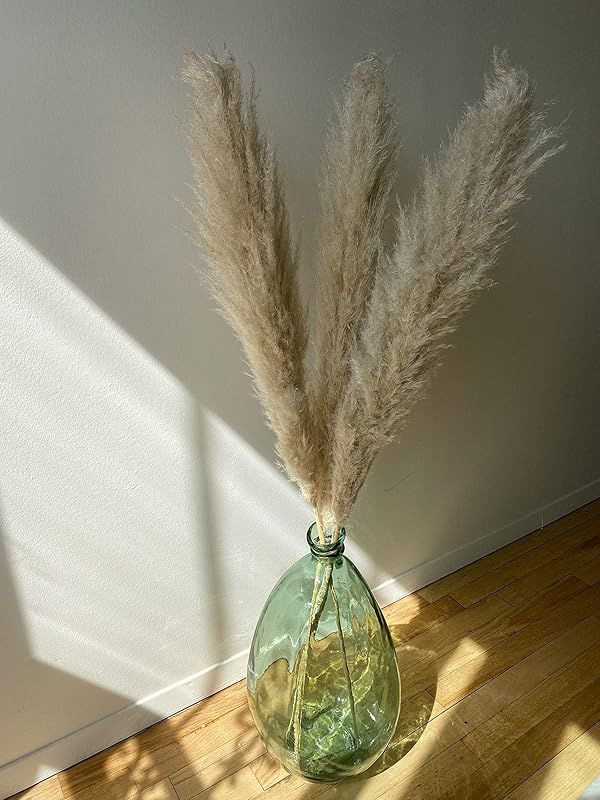 3 stems Pampas Grass Natural Fluffy Large 45'' - Home Decor, Wedding Boho Plant | Amazon (US)