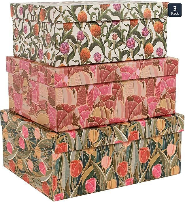 MIZFRUZZY 3-Piece Decorative Storage Boxes with Lids, Tulip Design, Vintage Floral, Cardboard Pap... | Amazon (US)