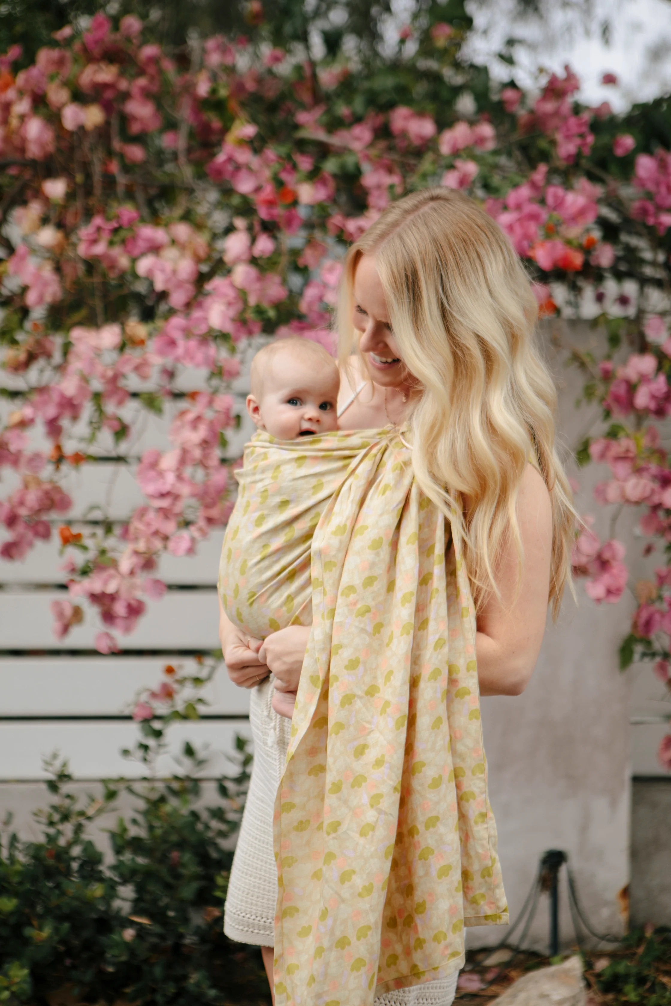 Dahlia - Print | Wildbird