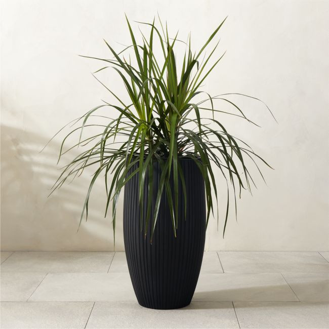 Zadie Black Resin Indoor/Outdoor Large Planter 25.25"H | CB2