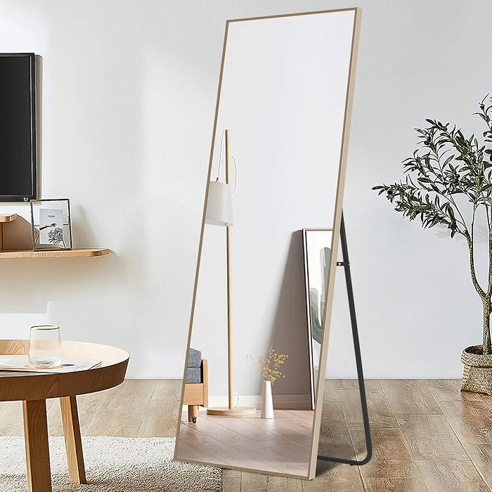 65"x22" Full Length Mirror, Standing Hanging or Leaning Against Wall, Dressing Mirror Wall-Mounte... | Amazon (US)