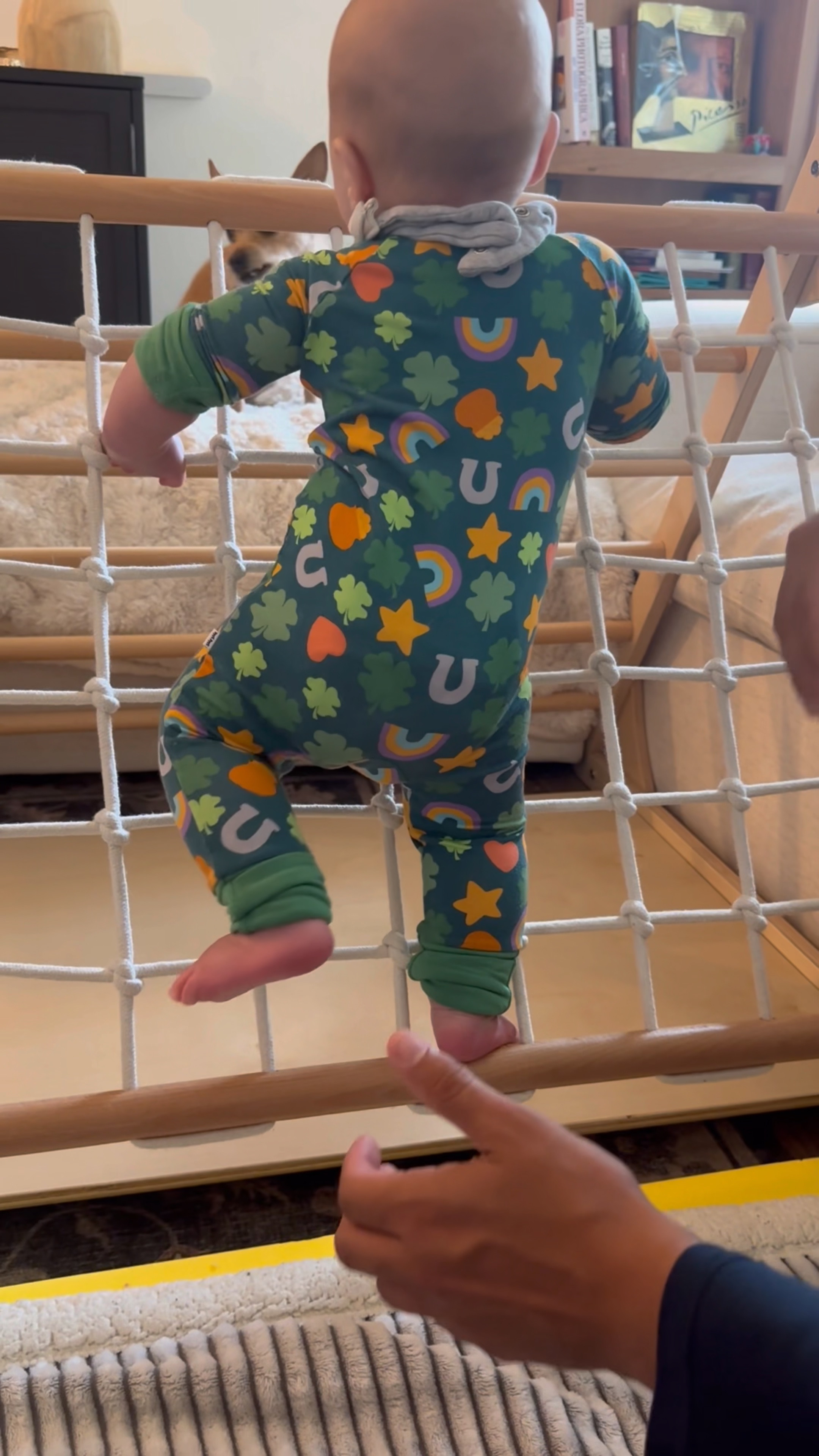 Baby climber from Kinderfeets

#LTKbaby #LTKGiftGuide #LTKkids