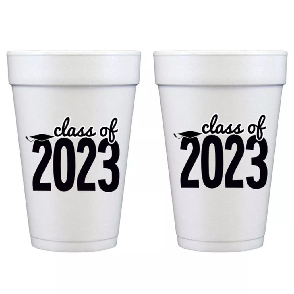 Ready to Ship Graduation Party Supplies – Two Funny Girls | Two Funny Girls