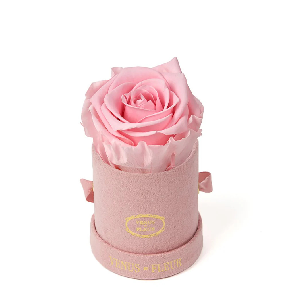 Le Mini Round - Pink Suede with Eternity Roses | Venus ET Fleur