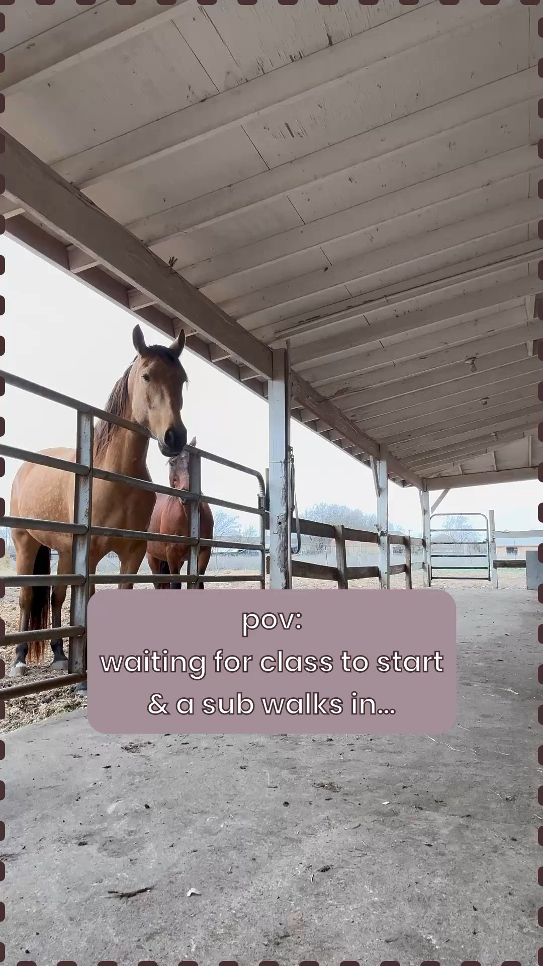Do you think they knew it was my first day as an on-purpose farm barn girl? #barnlife #yearofthehorse #horsesitter

#LTKselfcare #LTKstorytime #LTKU
