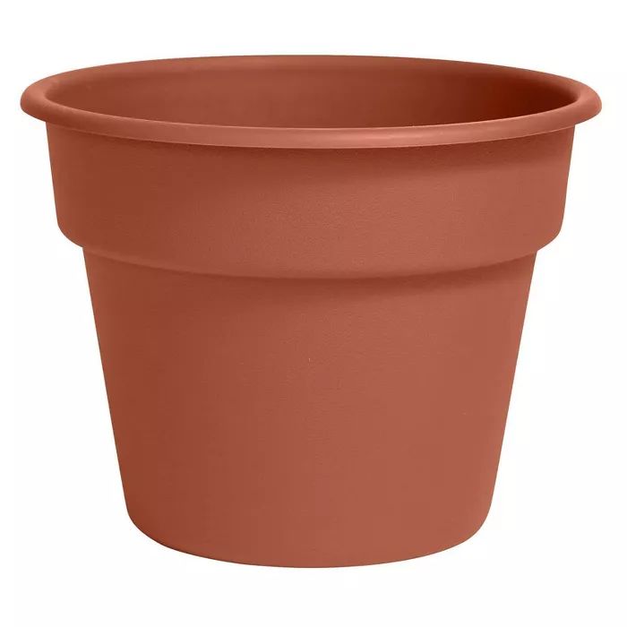 Dura Cotta Planter - Bloem | Target