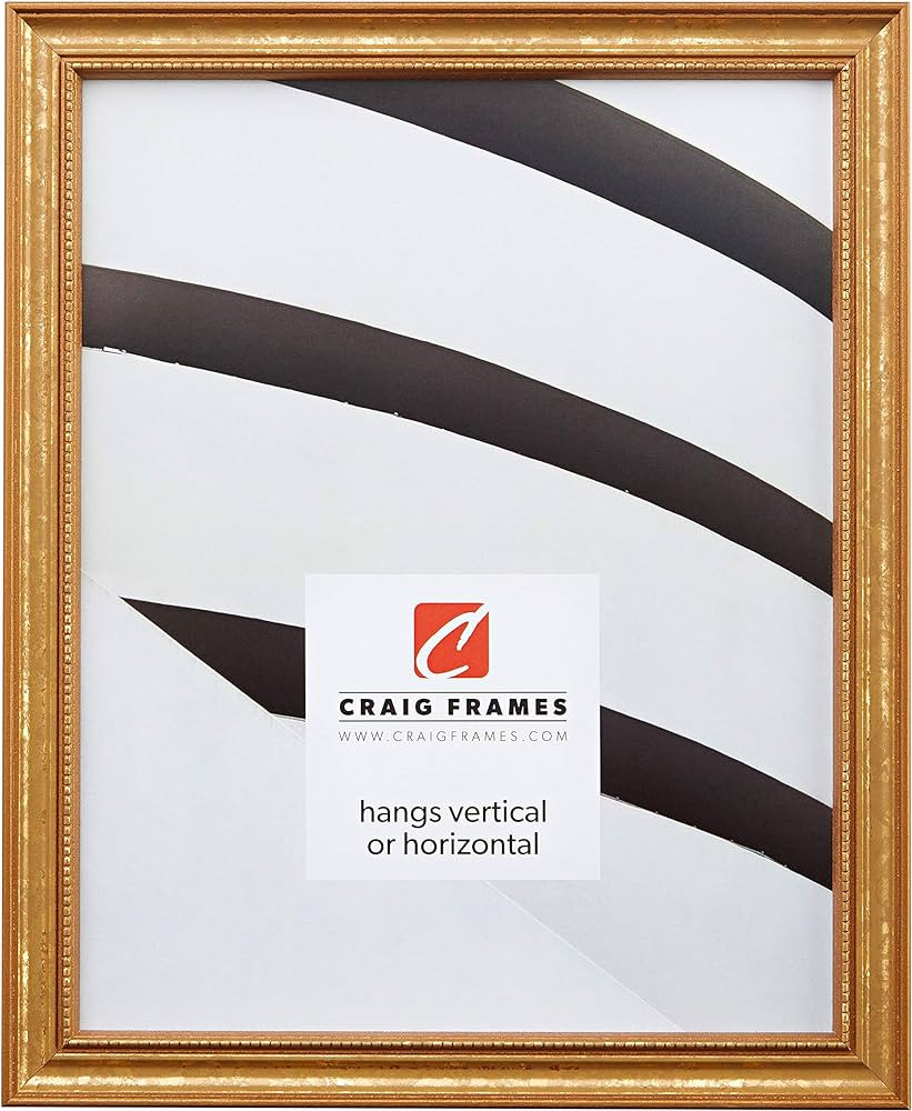 Craig Frames 16x20 Picture Frame, 0.75" Traditional Ornate Gold, Wall Hanging | Amazon (US)