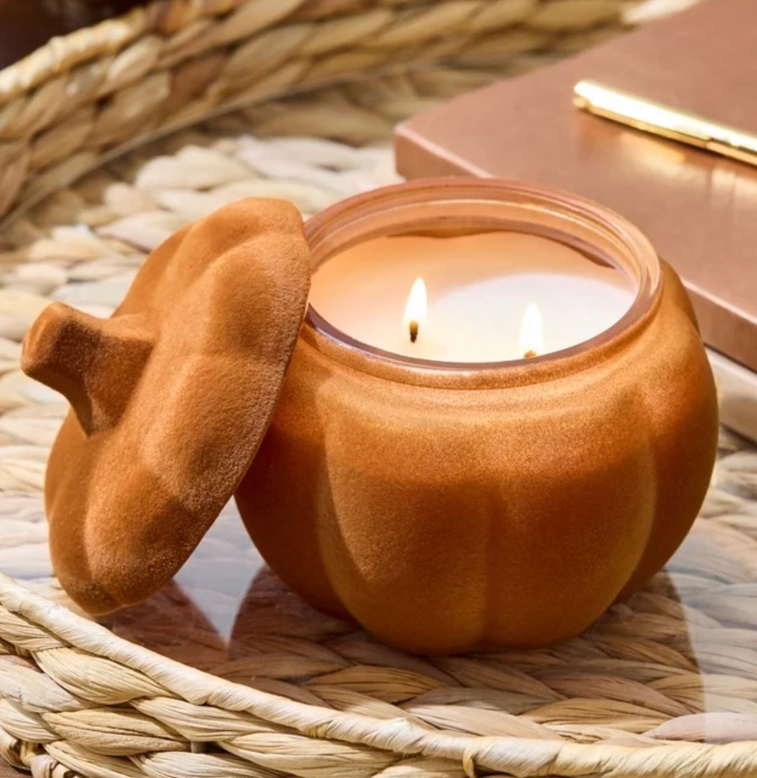 Better Homes & Gardens Flocked Pumpkin Candle 🎃🍎

This flocked pumpkin candle is one of the cutest fall finds at Walmart! 🍂 The textured pumpkin jar looks like a high-end decor piece, while the Farm Apple Pumpkin scent fills your home with the perfect cozy autumn fragrance. Once the candle is finished, reuse the adorable pumpkin container as seasonal decor year after year. At under $10, it’s an easy way to make your home feel ready for fall! 🤎✨

Fall candles, pumpkin candle, Better Homes & Gardens, Walmart fall finds, cozy home decor, pumpkin home accents, autumn decorating, fall coffee table decor, kitchen counter styling, fall entryway decor, seasonal home decor, affordable fall finds, pumpkin spice season, hostess gift idea.

#LTKSeasonal #LTKmomlife #LTKHome