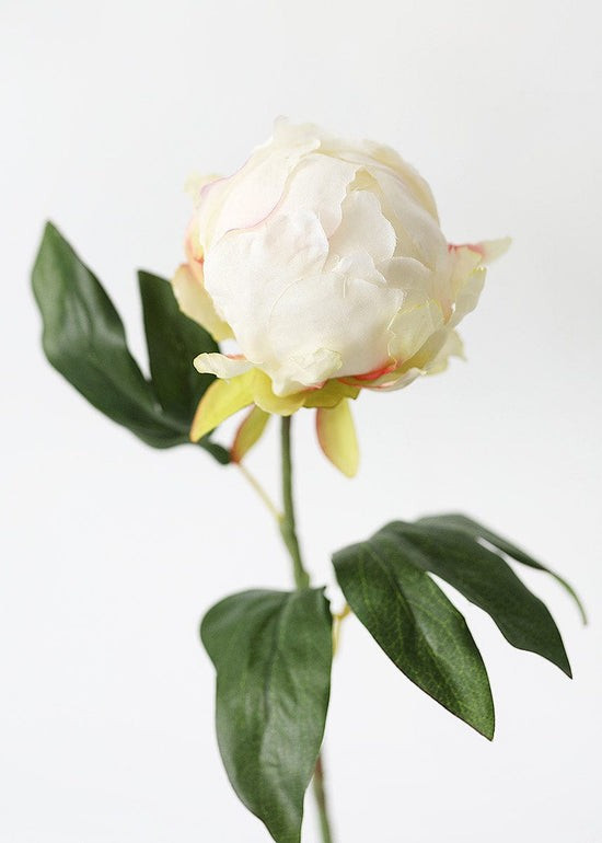 Artificial Flower Peony Bud in Cream - 18 | Afloral (US)