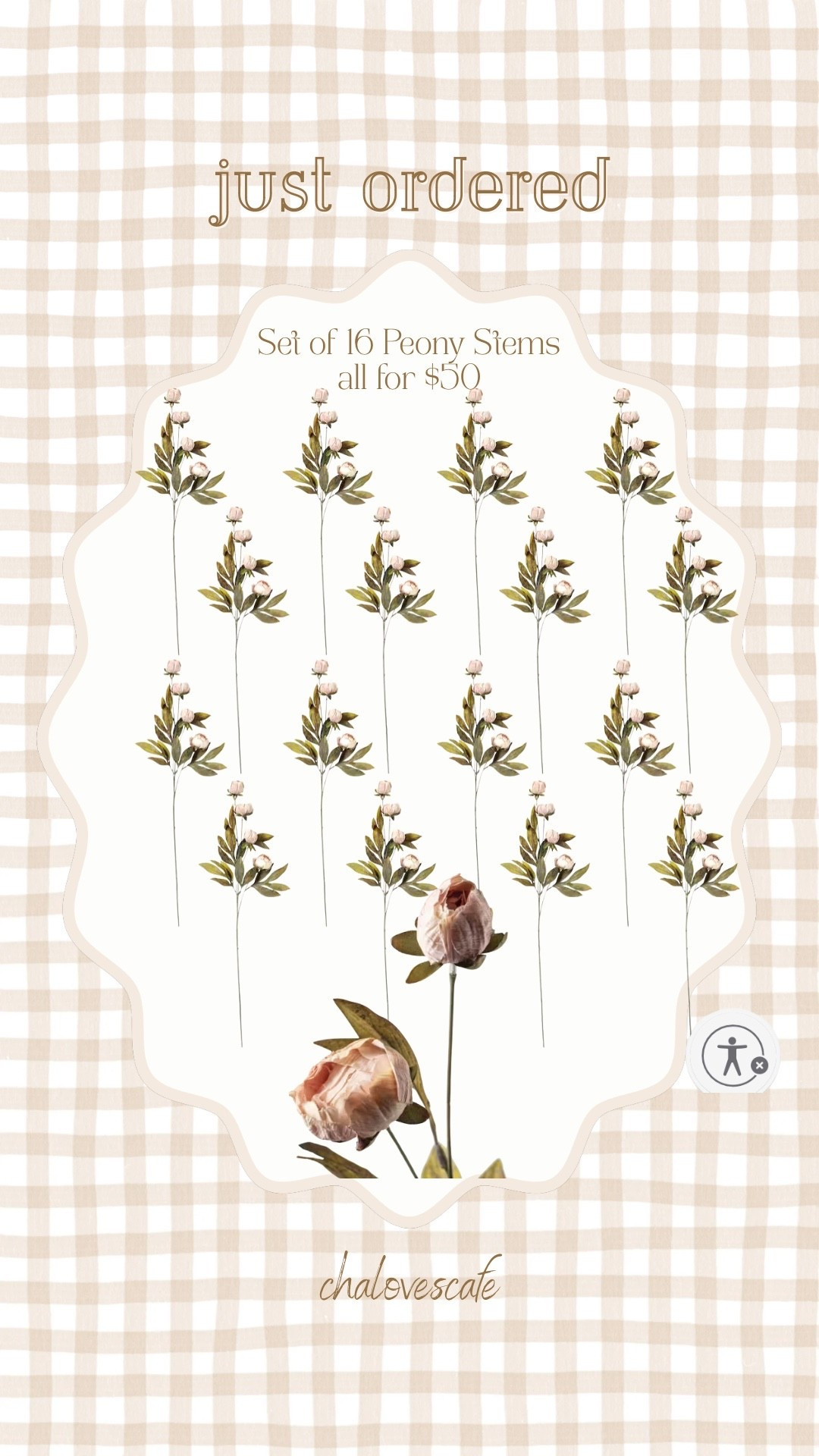 These peony stems are GORGEOUS and a great price when you buy in bulk (around $3 each). Highly recommend to get them before they sell out 🌸🤍🌷

#LTKHome #LTKFindsUnder50 #LTKSeasonal