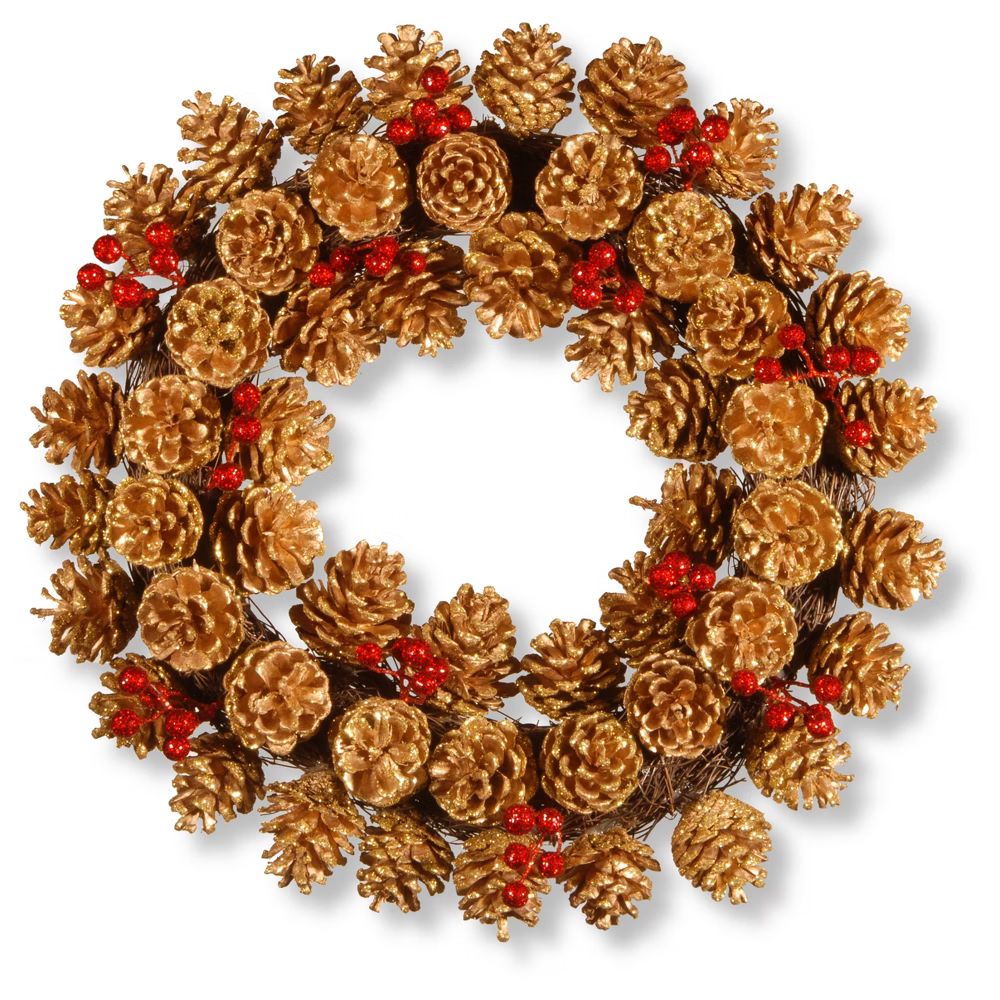 20"" Glittered Pinecone Wreath - National Tree Company, Red Brown | Target