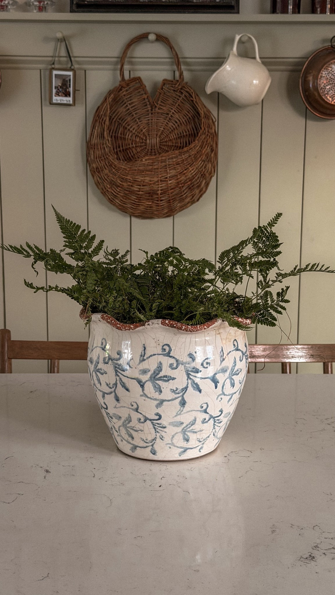 Blue and white planter pots

#LTKFindsUnder50 #LTKHome