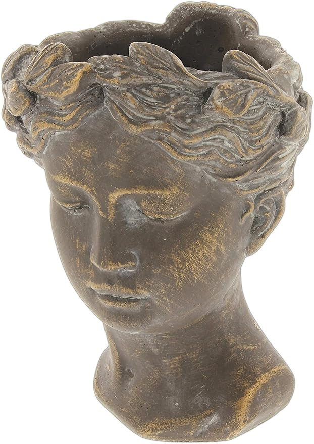 Lucky Winner Greek/Roman Style Female Statue Head Cement Planter (8") | Amazon (US)