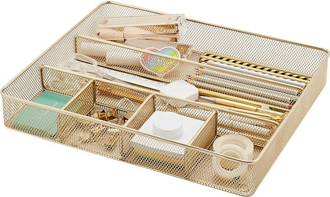 Annova Desk Drawer Organizer Tray for Office Organization - Metal Mesh - Storage Tray with Divide... | Amazon (US)
