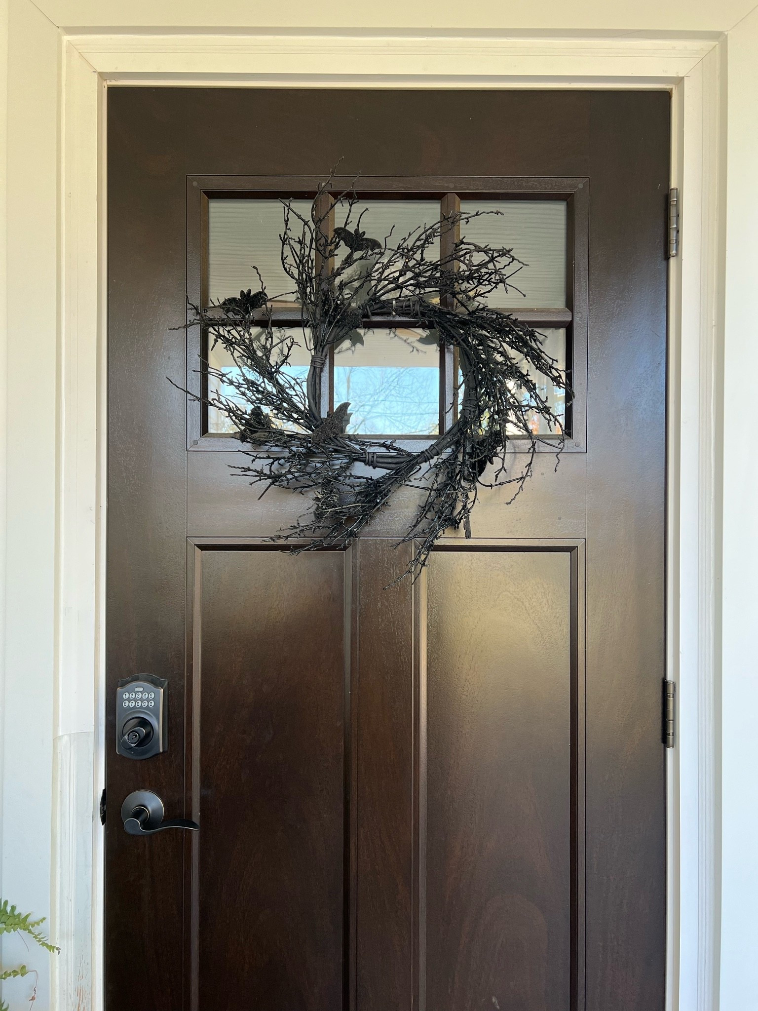 🦇 One of my favorite Amazon Halloween finds! This black bat wreath is the perfect mix of spooky + pretty and instantly makes a front door, porch or entryway feel ready for spooky season. 🖤 I love the twiggy branches and glitter bats — such an easy piece of Halloween decor that gives that slightly gothic Halloween look without being too scary!

#AmazonHalloween #AmazonHalloweenDecor #HalloweenDecor #SpookySeason #HalloweenWreath #BatDecor #GothicHalloween #HalloweenHomeDecor #FrontDoorDecor #OutdoorHalloweenDecor #AmazonFinds #HalloweenFinds

#LTKSeasonal #LTKSaleAlert #LTKHome