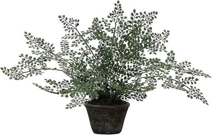 Nearly Natural 4251 Maiden Hair Artificial Plant in Planter Green Small | Amazon (US)