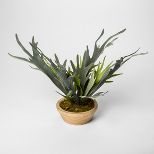 14.5" x 14" Artificial Staghorn Fern In Pot Green - Threshold™ | Target